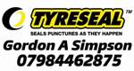 Tyreseal Logo