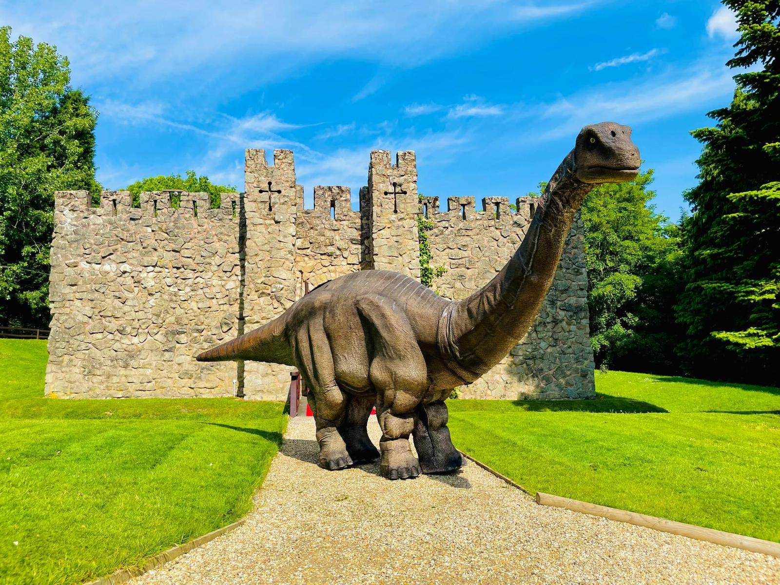 Dinosaur Ranger Adventure - Work, Rest or Play