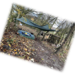 Birdsedge Holiday Club Tree-Tots-May-2023