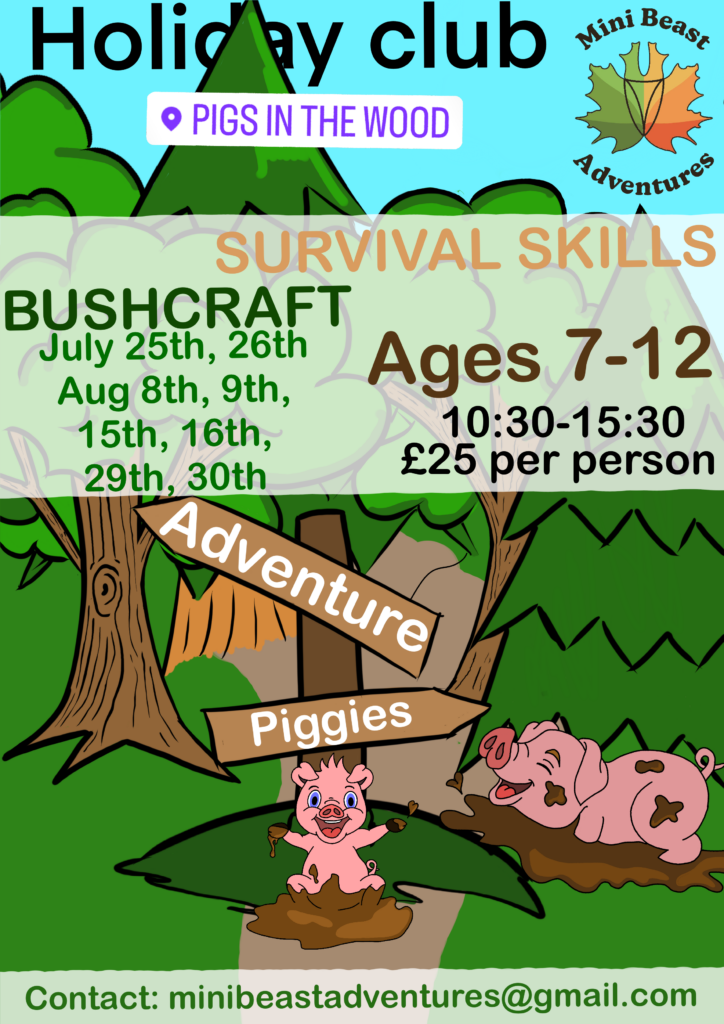 mini beast adventures holiday club