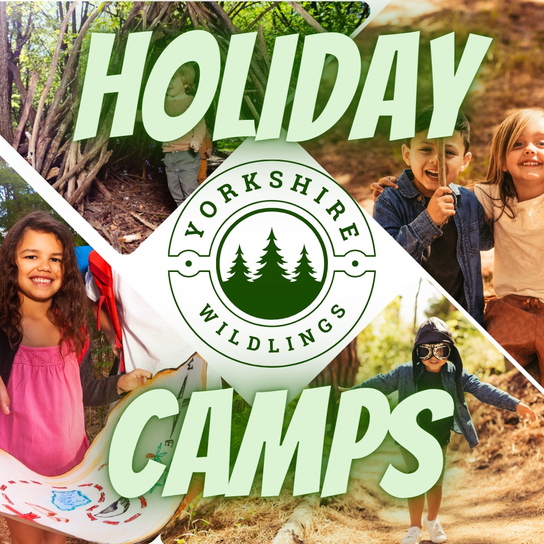 Yorkshire Wildlings October Half Term Camp