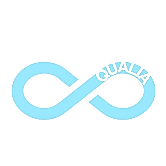 Qualia Academy & Digital Consultancy