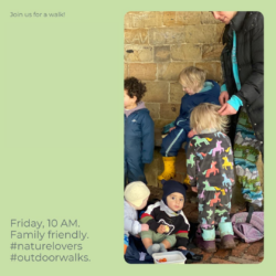 Parent Sanctuary - Into the Wild
