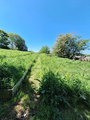 Nortonthorpe Sports Club Allotment before 3 300x400