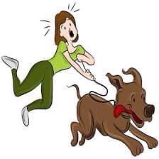 Paw Behaviour Puppy Classes