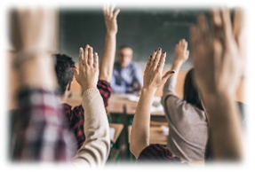 Birdsedge Governors Vacancies