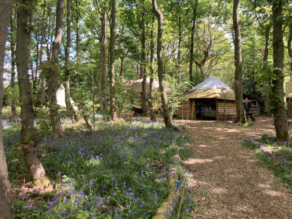 Eden's Forest