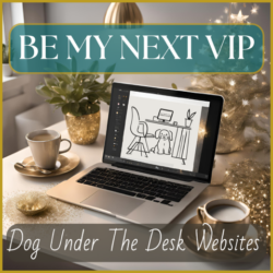 A VIP DAY OF WEBSITE MAGIC