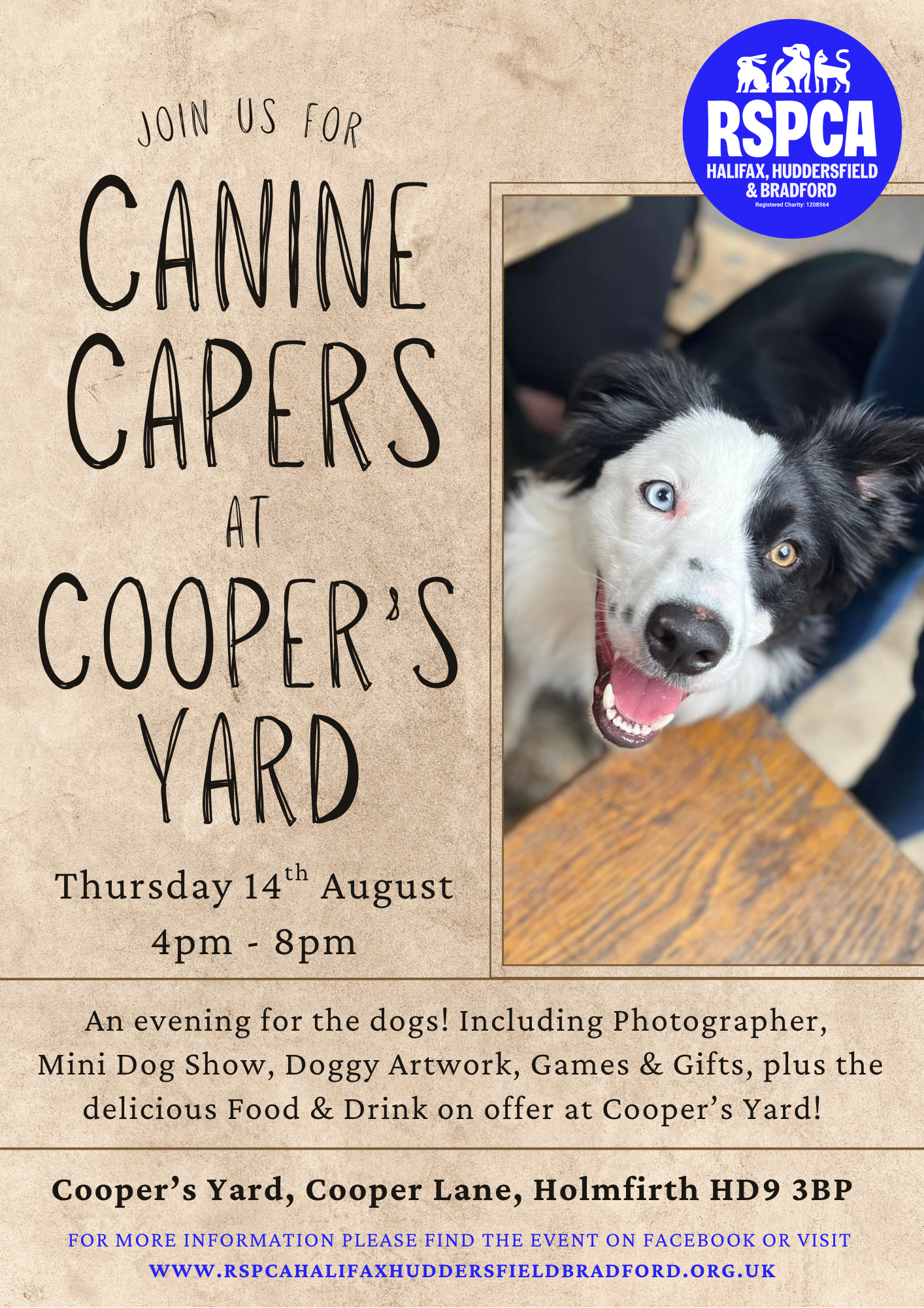 Canine Capers at Coopers Yard