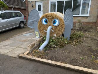 Danby Dale District Lions winning Scarecrow