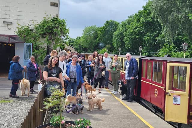 Canine Carriages, Market and Dog Show