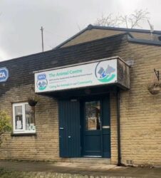 2025 Photos show the current state of dilapidation of well-known RSPCA Wade Street