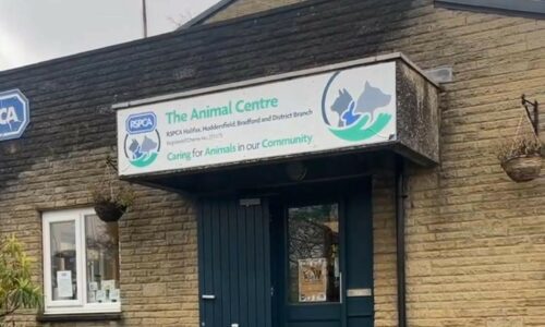 2025 Photos current state dilapidation RSPCA Wade Street