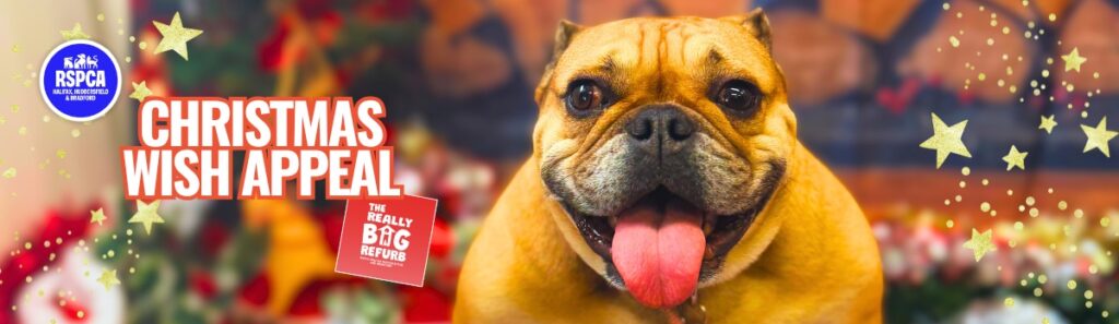 RSPCA Christmas Wish Appeal