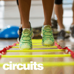 Sovereign Fitness - Circuits