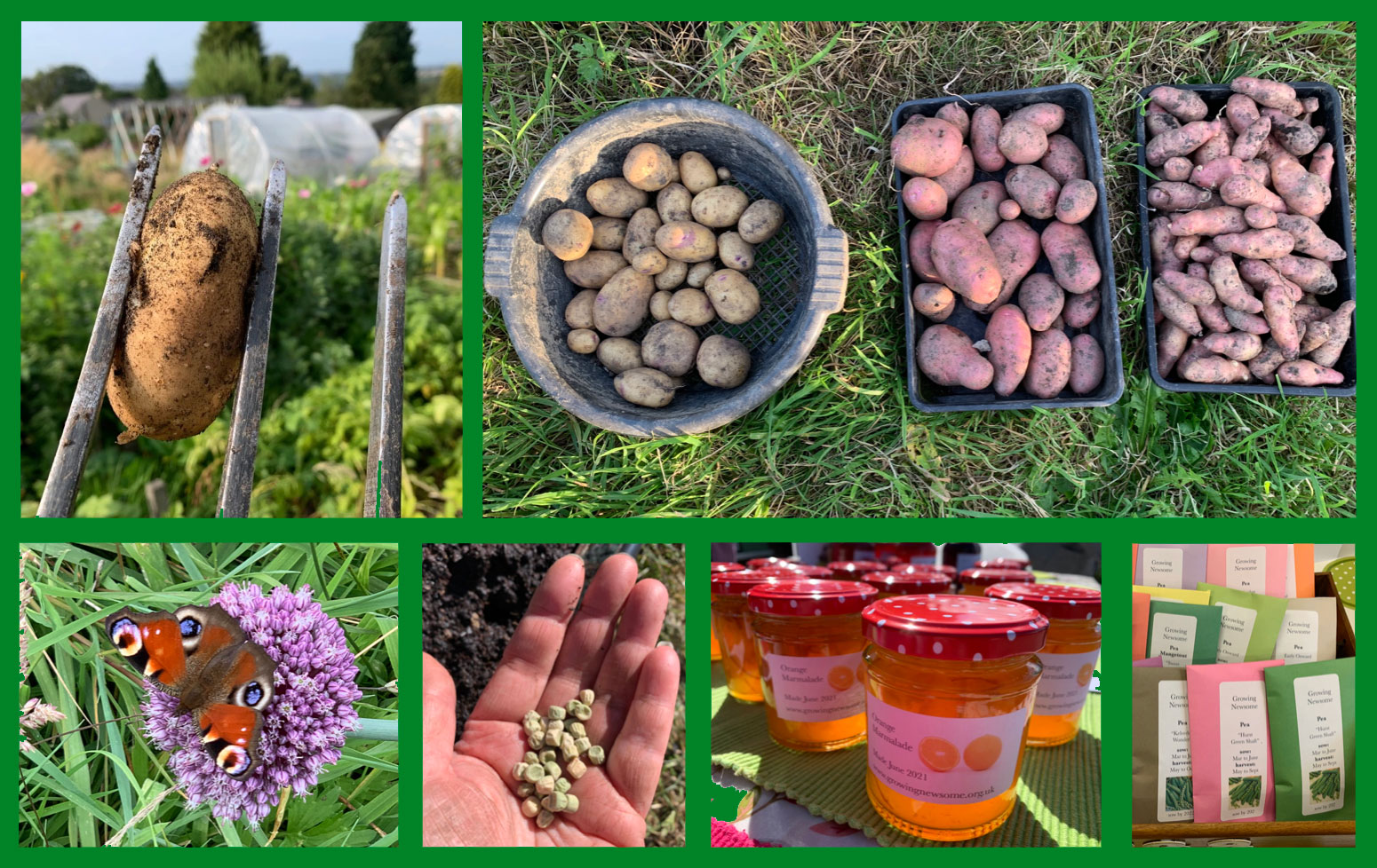 Huddersfield Seed Swap and Potato Day