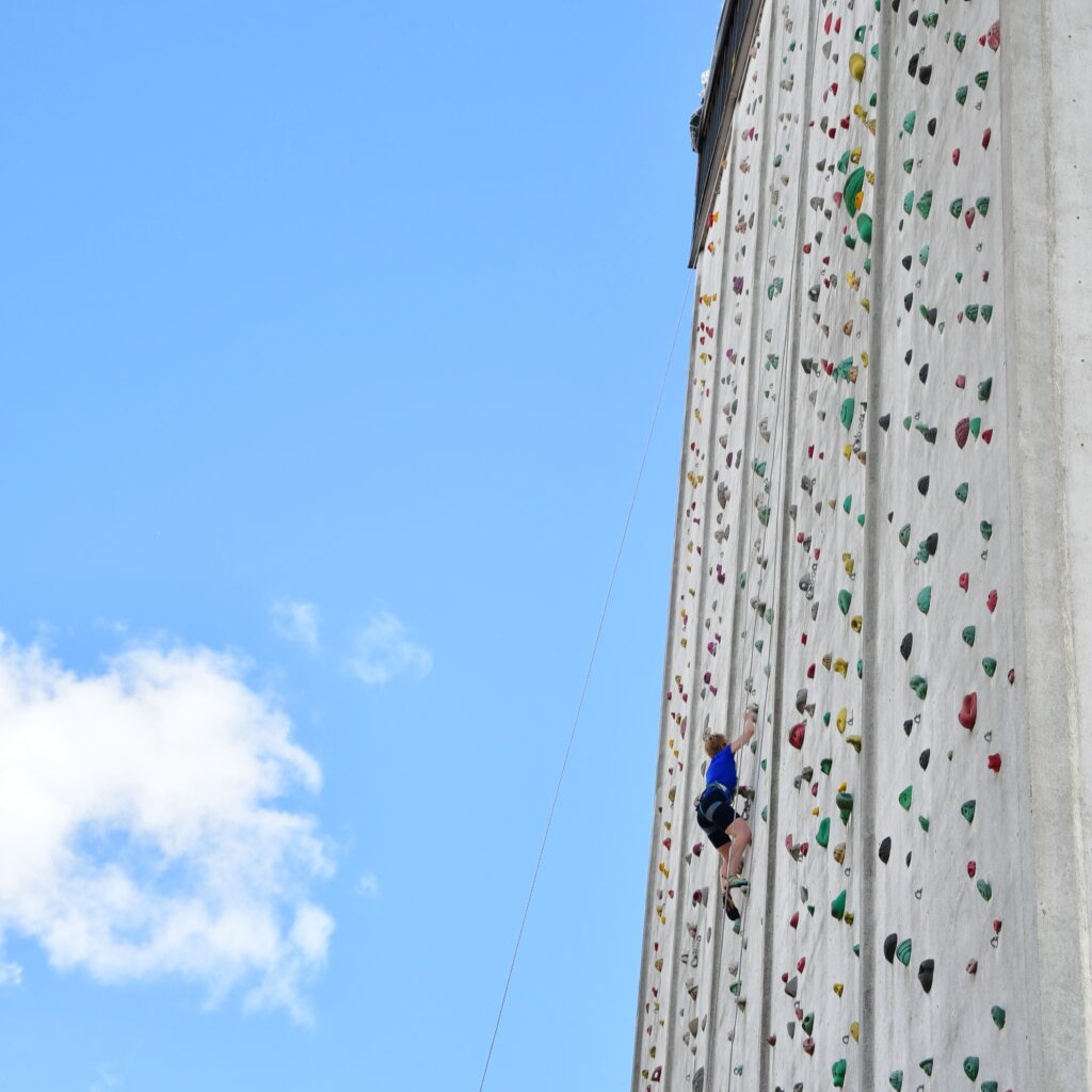 Scratching Post Challenge