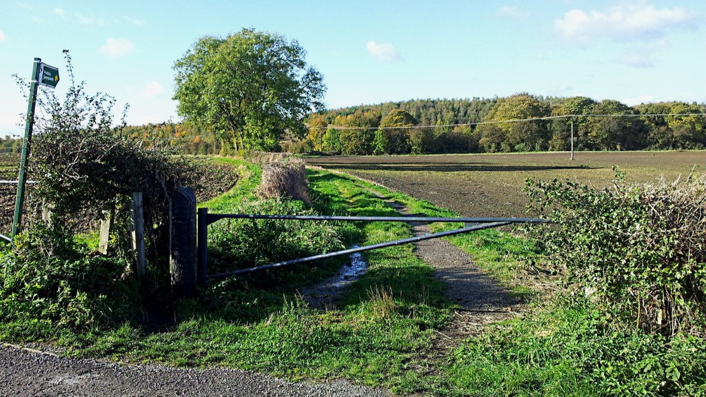 Trains & Boats Planes! | Free Guided Walk