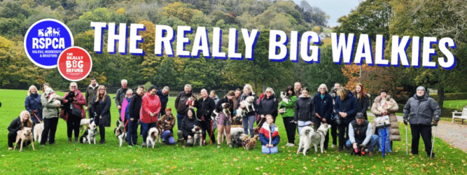 RSPCA really big walkies