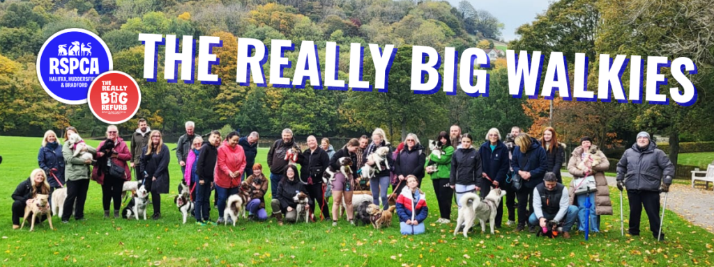 RSPCA really big walkies