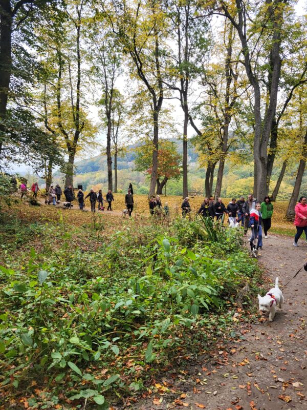 RSPCA Halifax, Huddersfield & Bradfordwalkies-blog-2-600x800