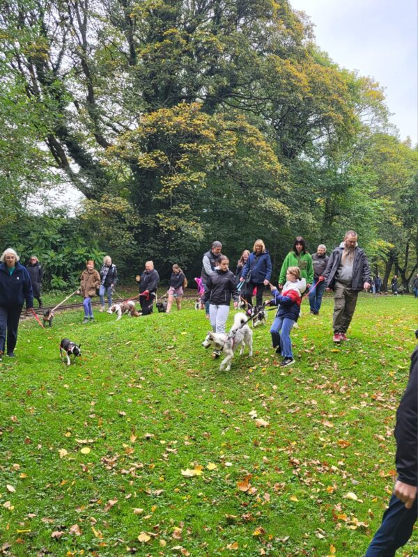 RSPCA Halifax, Huddersfield & Bradford walkies-blog-5-600x800