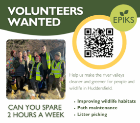EPIKS volunteer flyer square