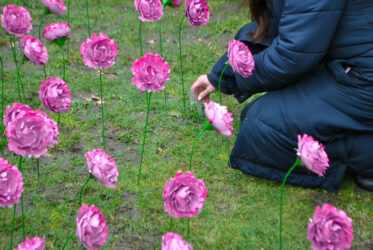 The Kirkwood Mothers in Bloom