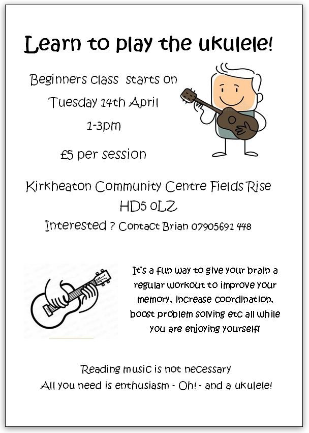 Beginners ukulele class