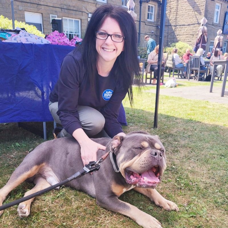 Fun Dog Show at the Sovereign!
