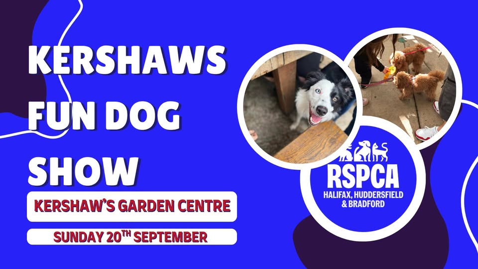 Kershaw's Fun Dog Show